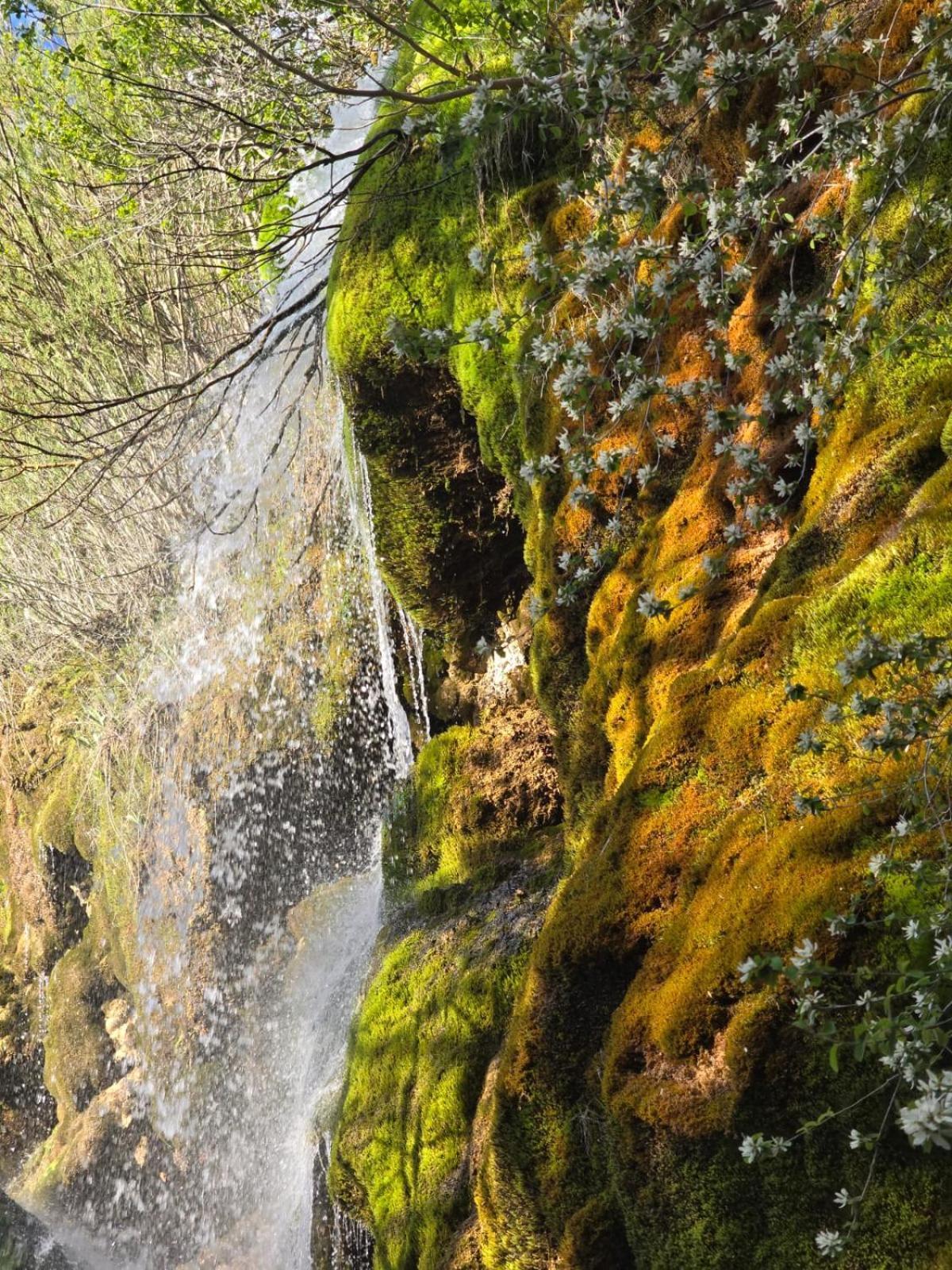 Hostal Rural Alto Tajo Poveda Poveda de la Sierra Exteriör bild