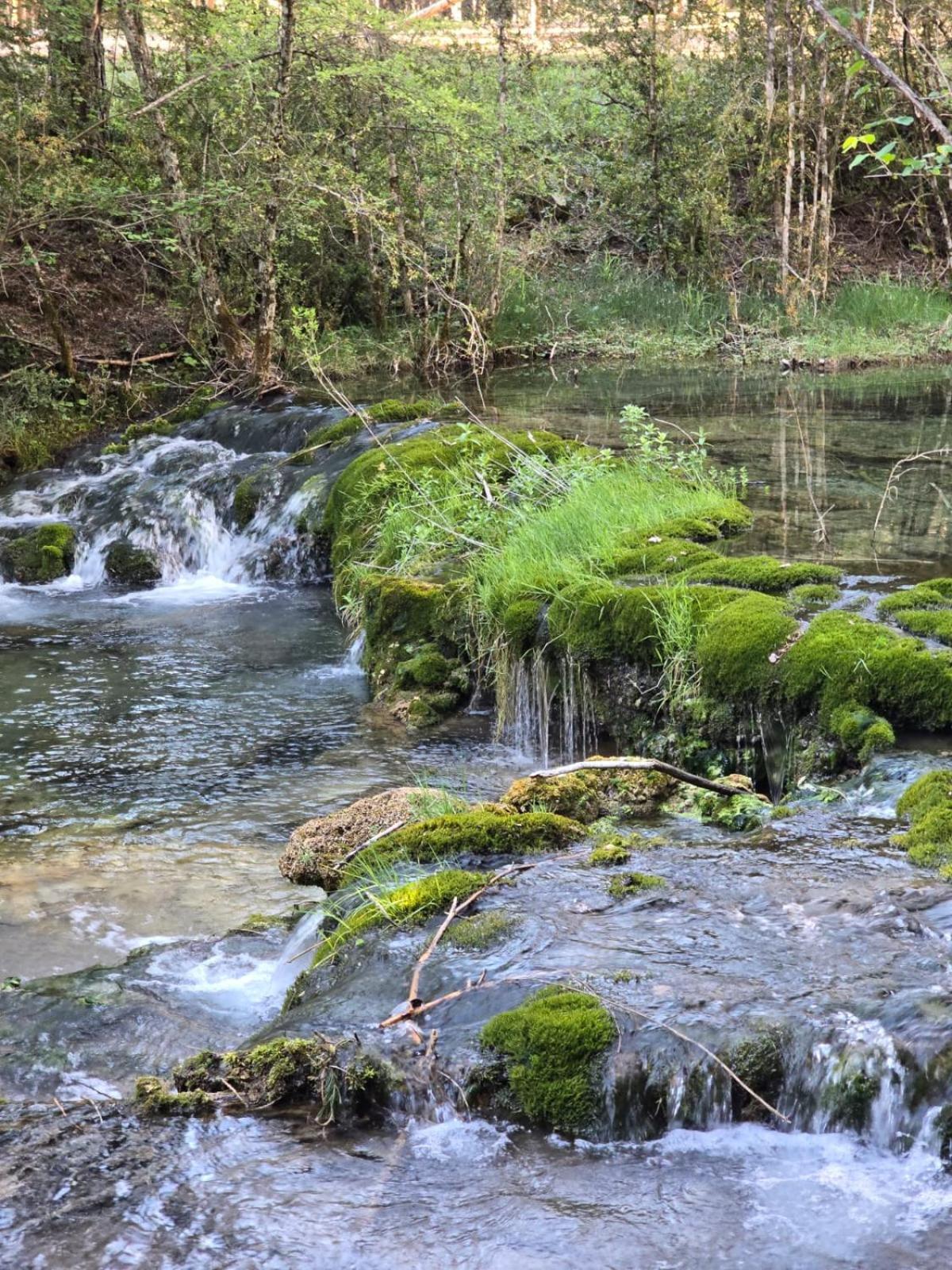Hostal Rural Alto Tajo Poveda Poveda de la Sierra Exteriör bild