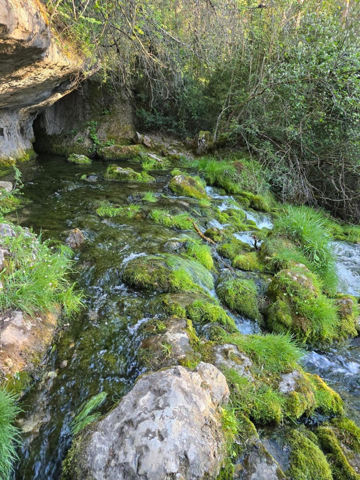 Hostal Rural Alto Tajo Poveda Poveda de la Sierra Exteriör bild